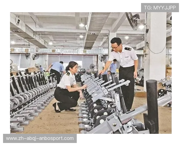 安顺康乐佳健身器材的市场表现与价格